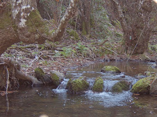 Sierra de Aracena y Picos de Aroche