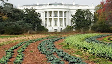 Gardening at the White House