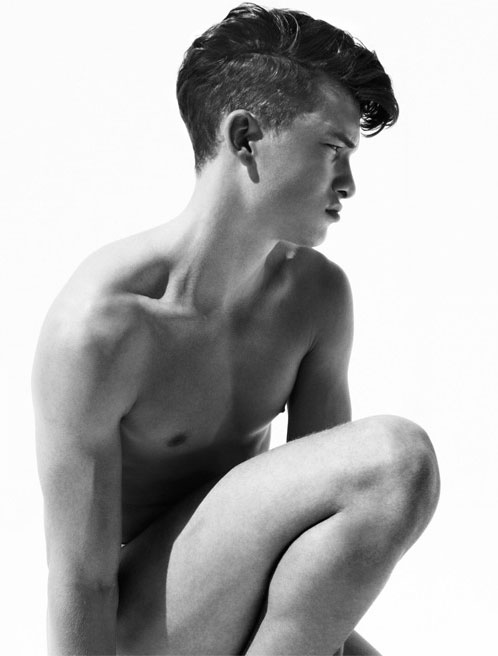 Rene wellek sven eric molin essay 06 image