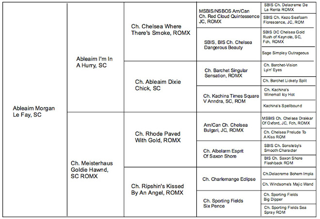 Morgan's Pedigree