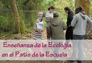 Enseñanza de la Ecología en el Patio de la Escuela