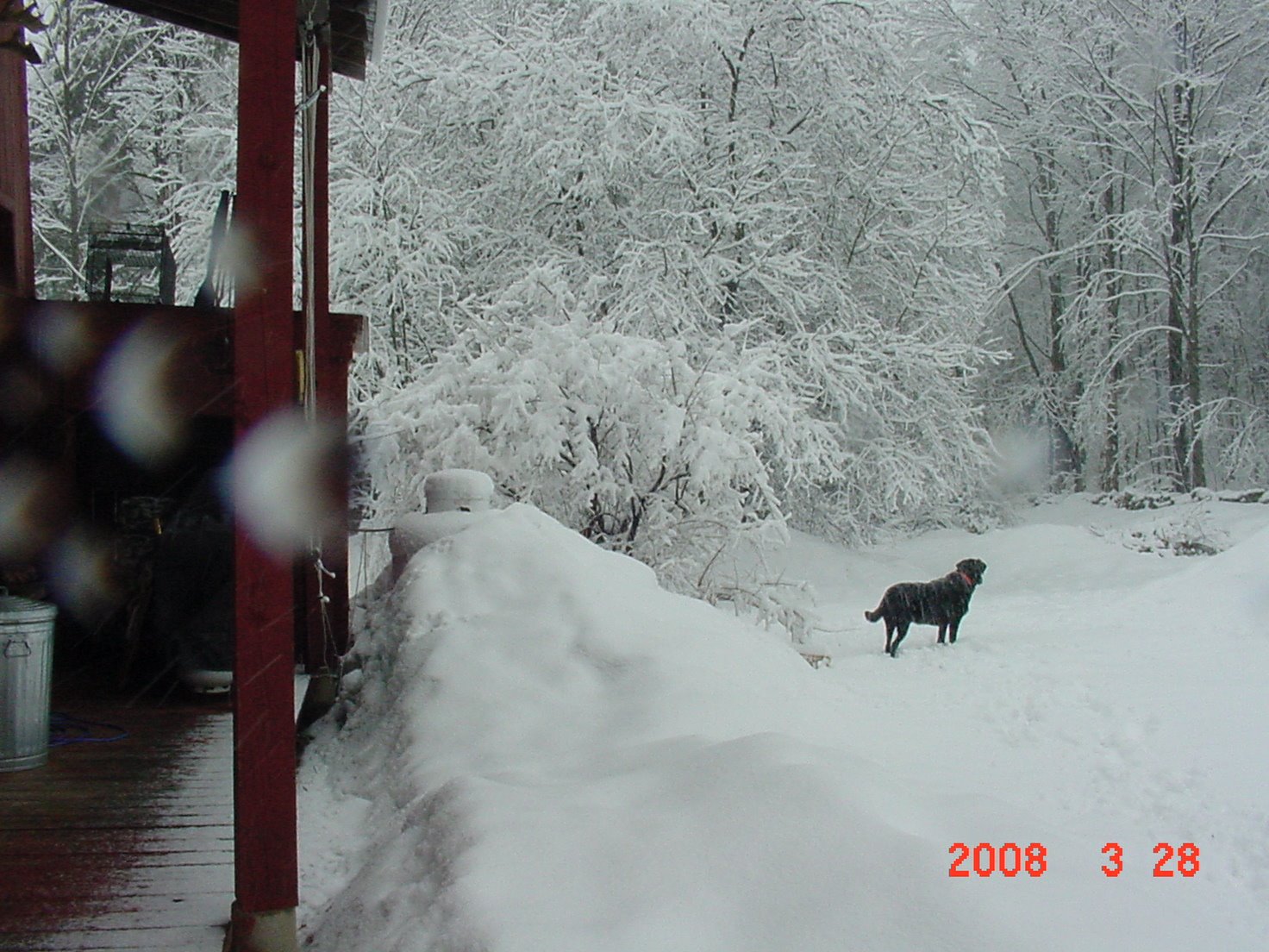 [Winter+2008+438.jpg]