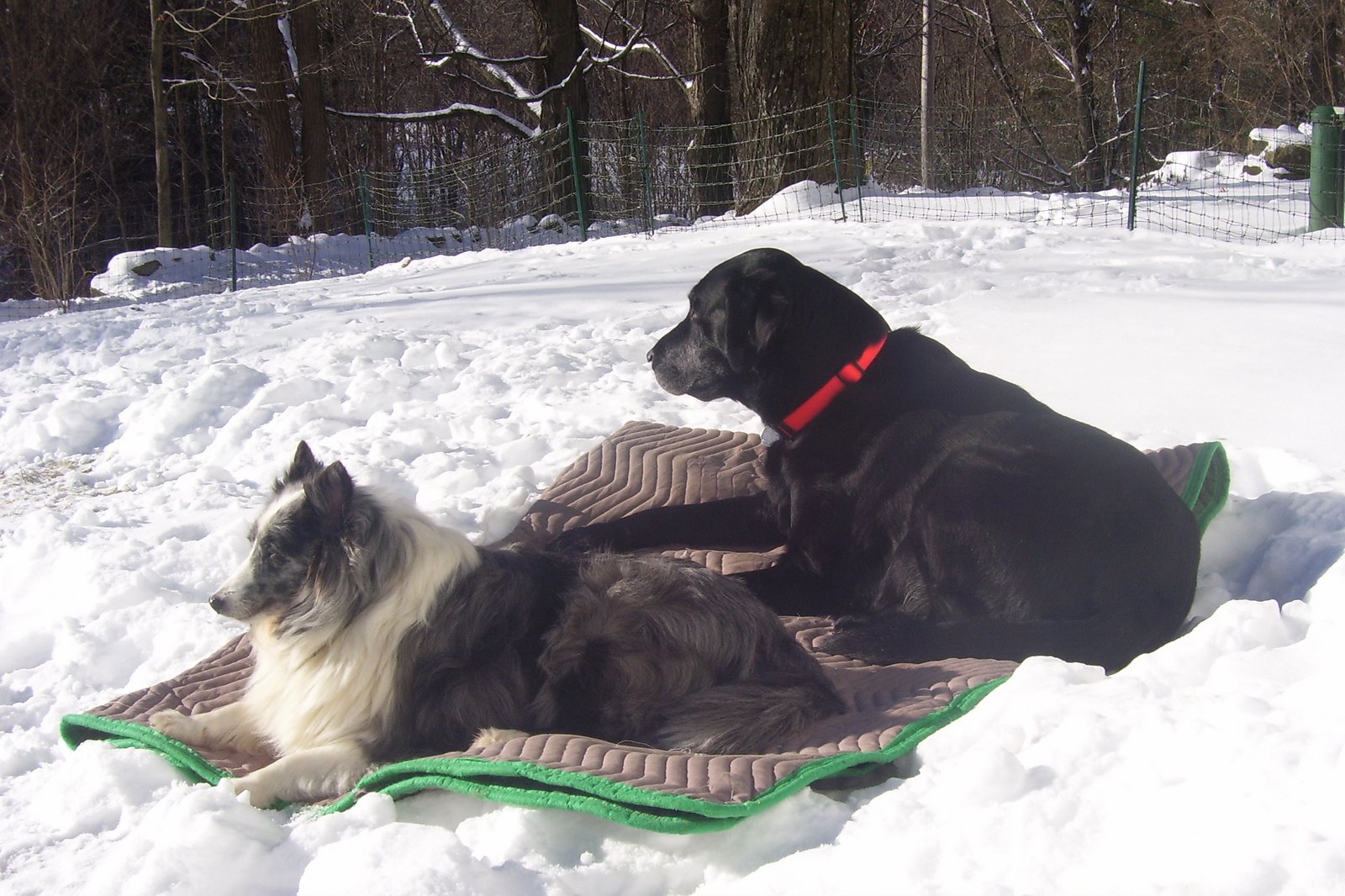 [Winter+2007+006.jpg]
