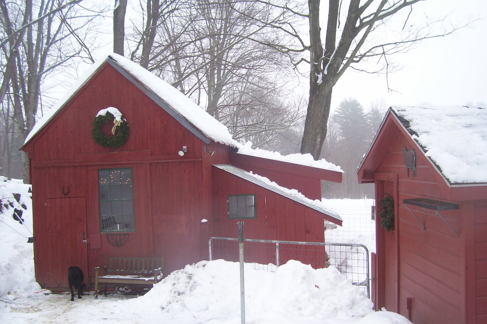 [Winter+2008+063.jpg]