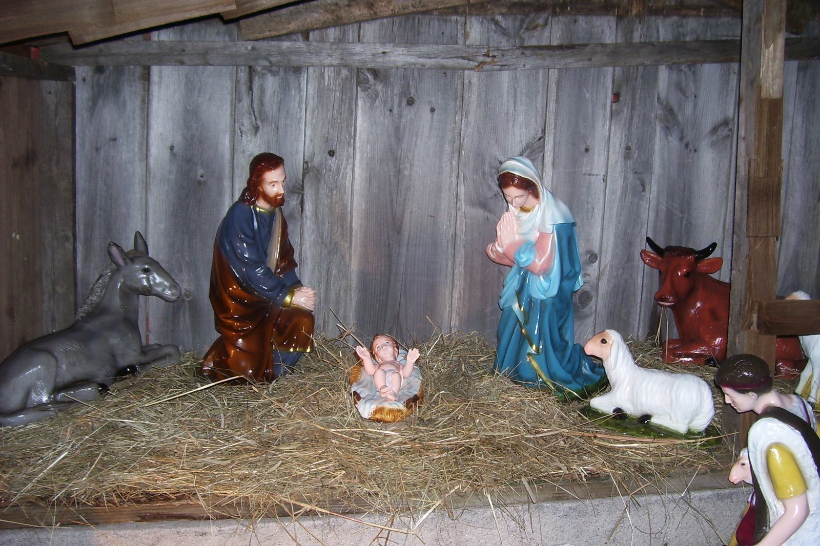 [Christmas+2007+004.jpg]