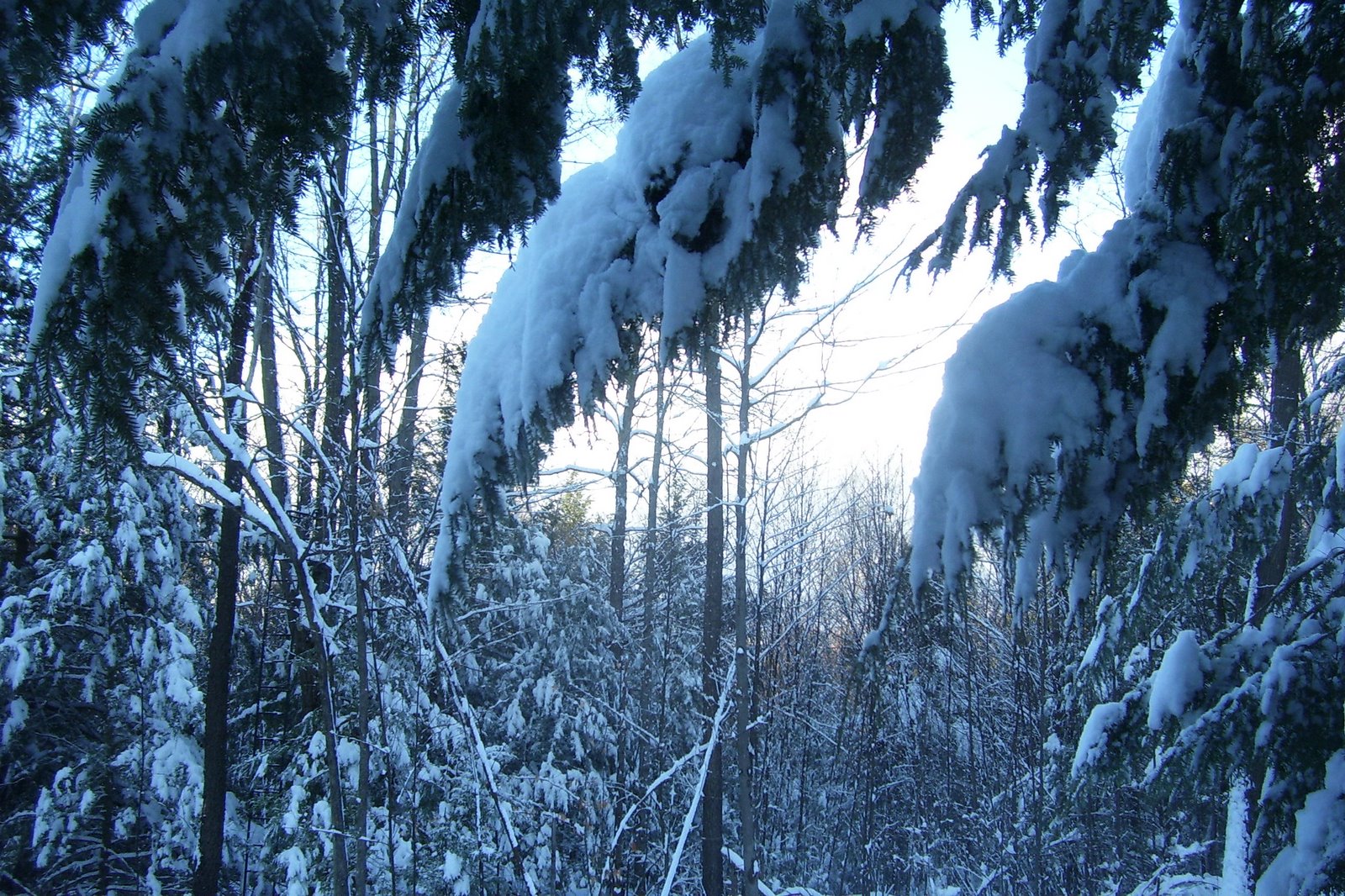 [Winter+2008+109.jpg]