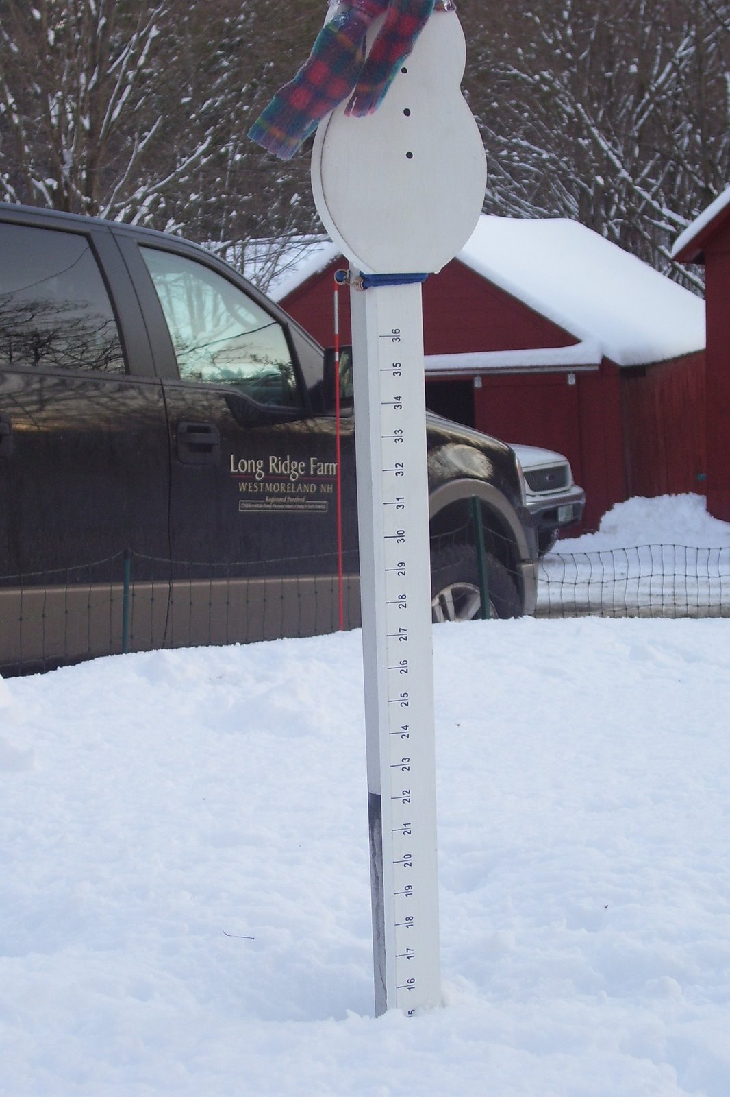 [Winter+2008+117.jpg]