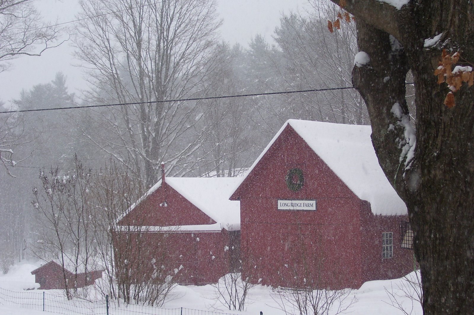 [Winter+2008+133.jpg]
