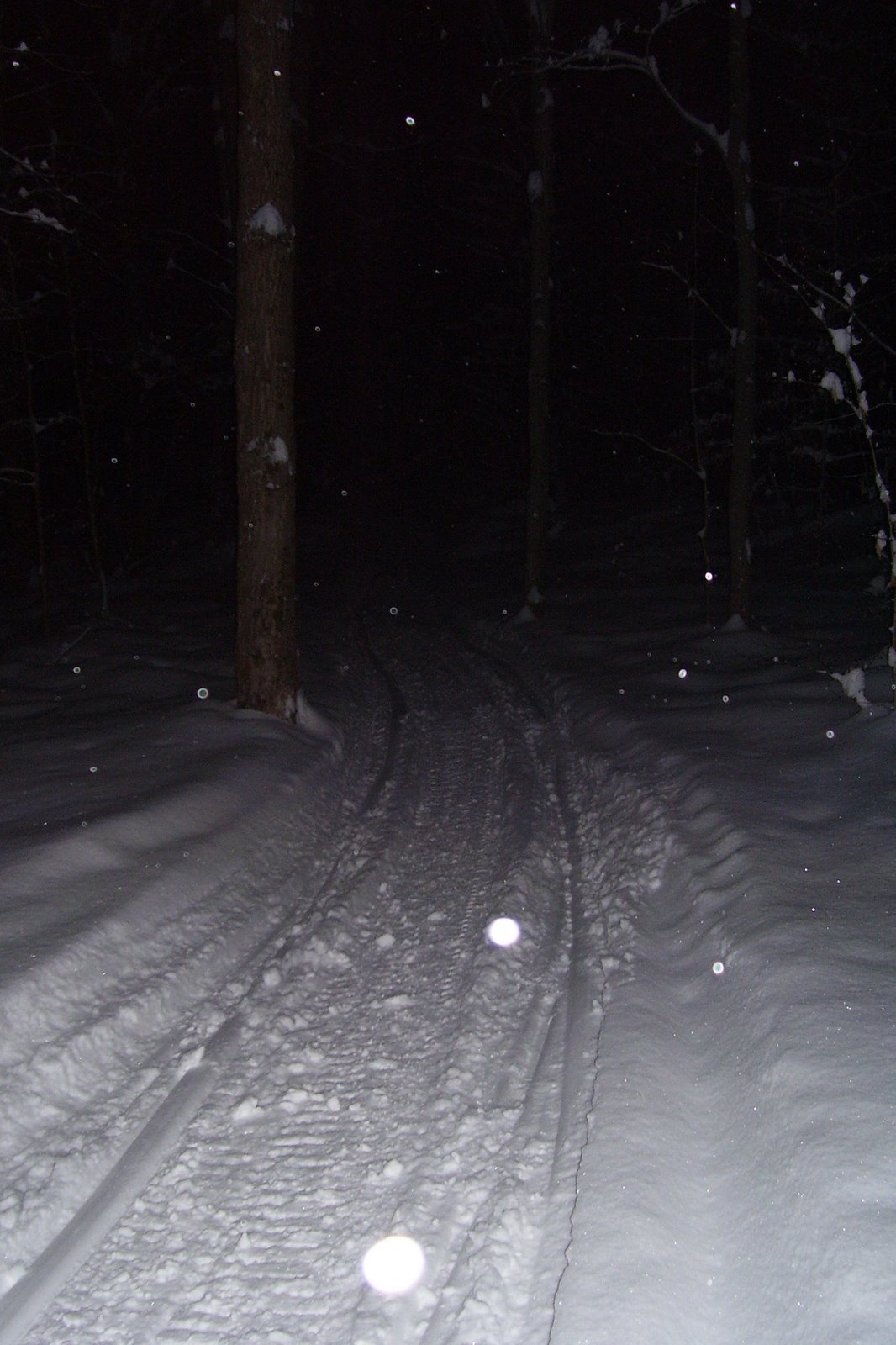 [Winter+2008+145.jpg]