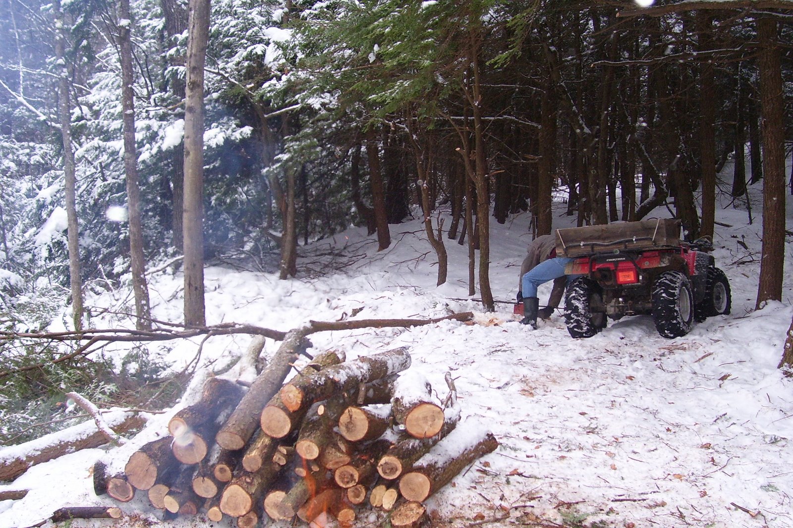 [Winter+2008+217.jpg]