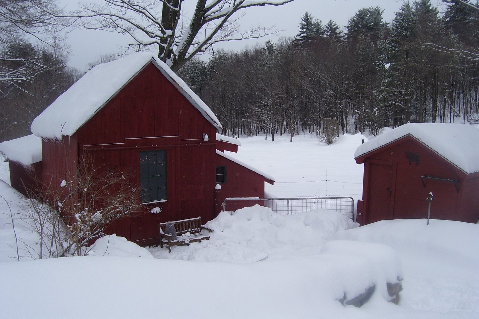 [Winter+2008+386.jpg]