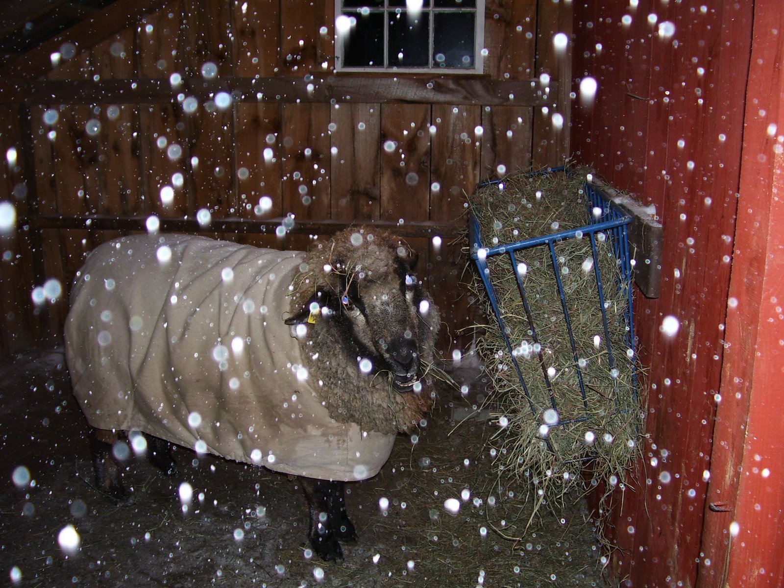 [winter+06+124.jpg]