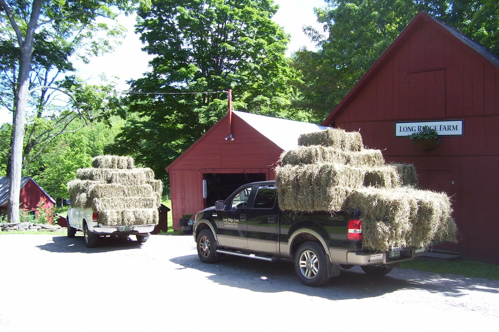 [Summer+07+005.jpg]