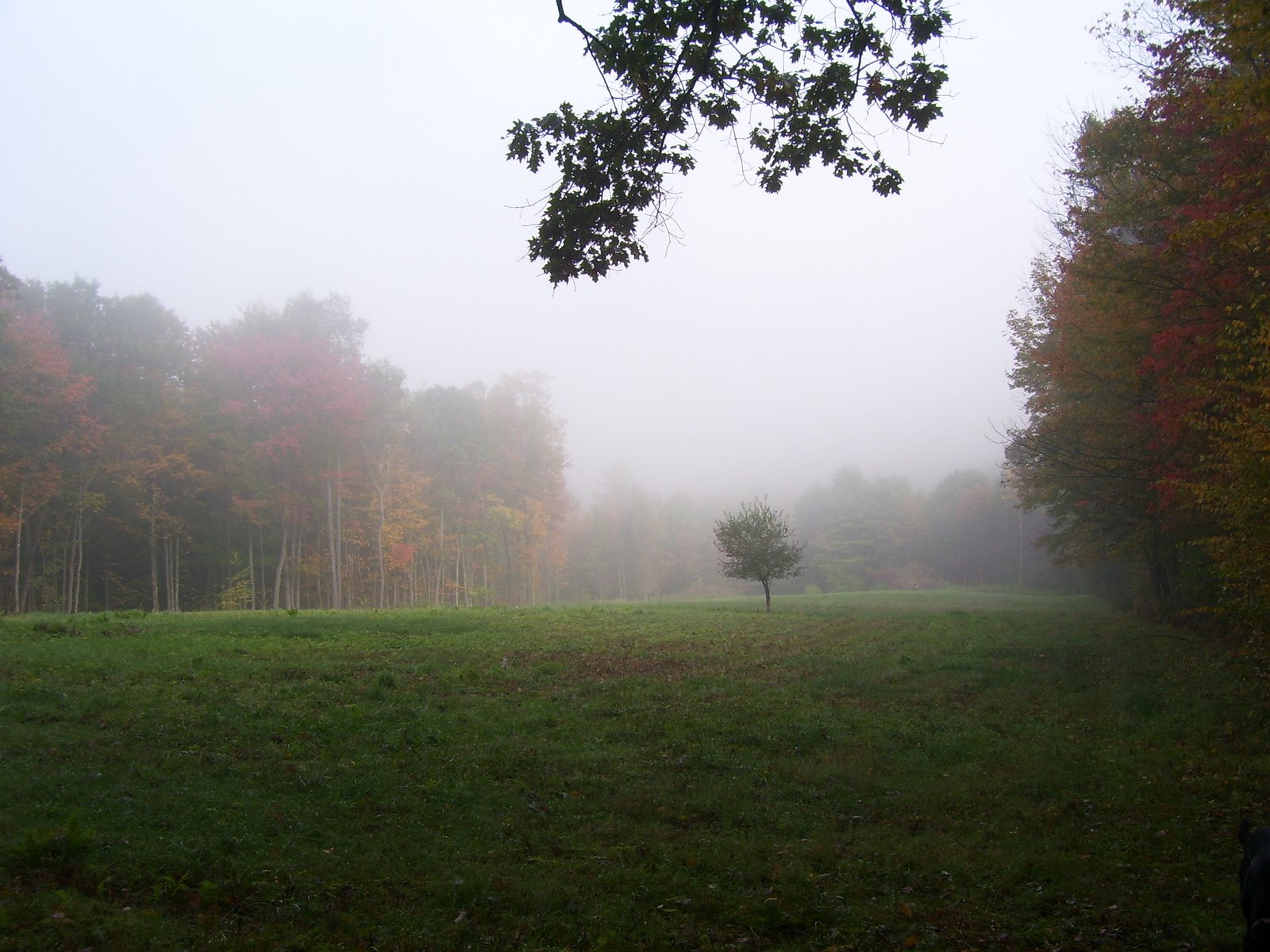 [Fall+06+003.jpg]