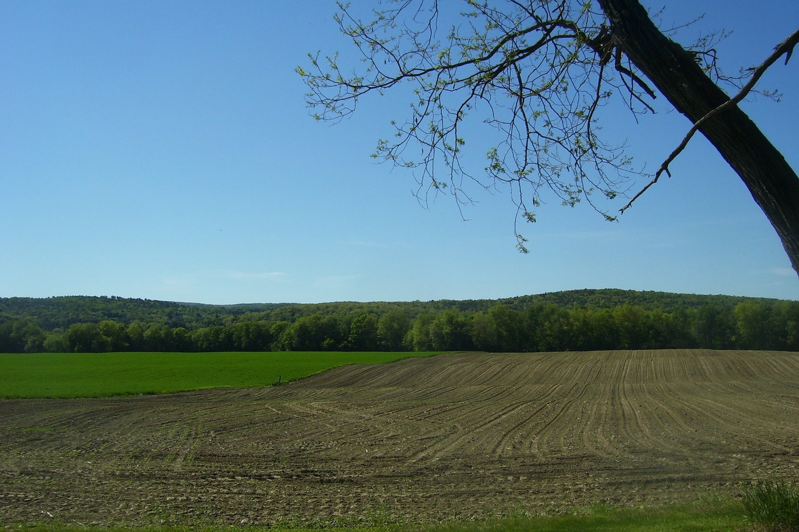 [Spring+2008+135.jpg]