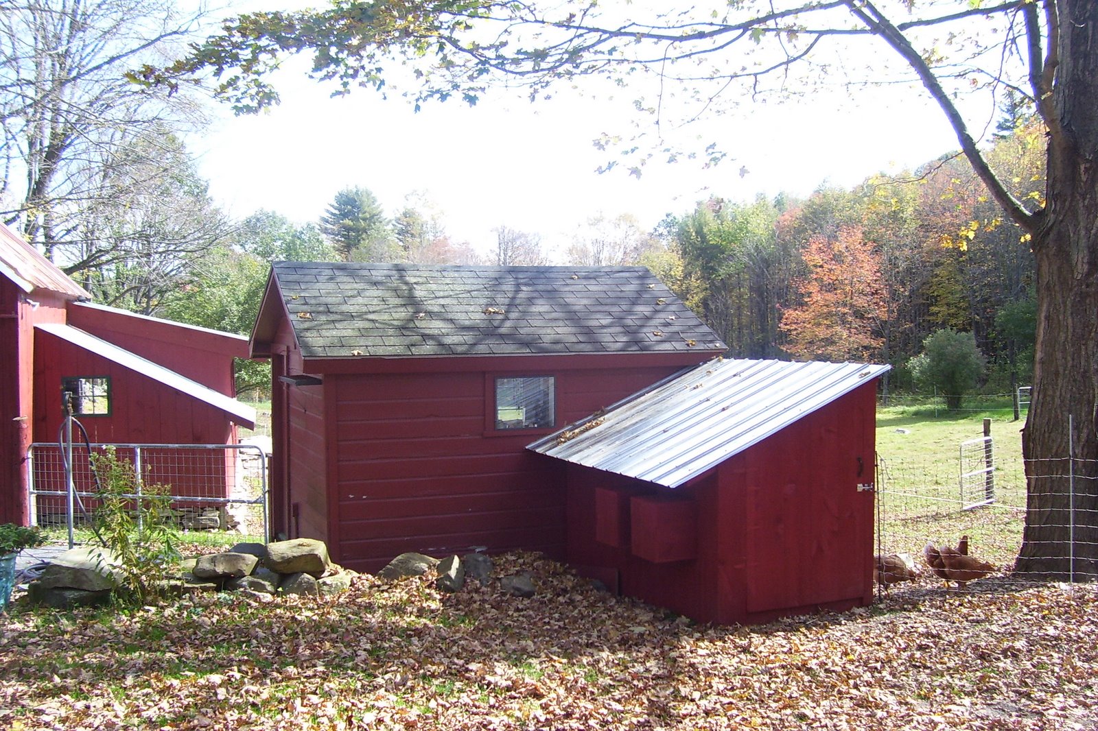 [Fall+08+035.jpg]