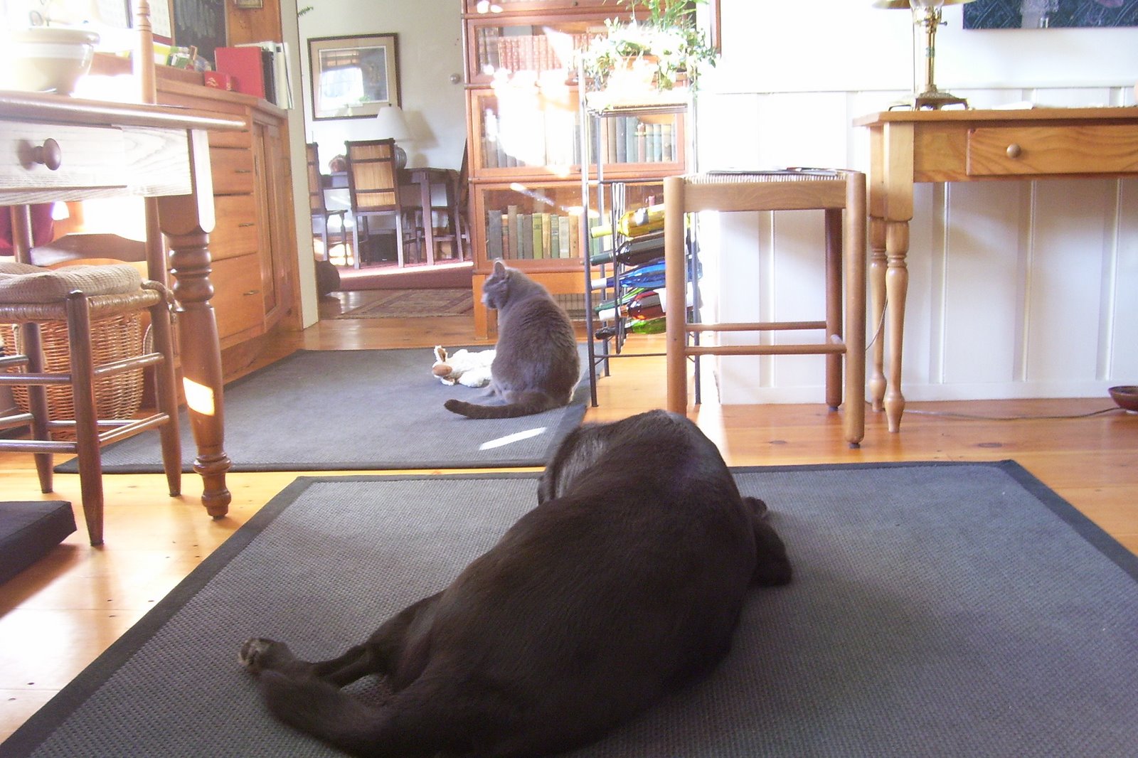 [Webster+and+Sid.jpg]