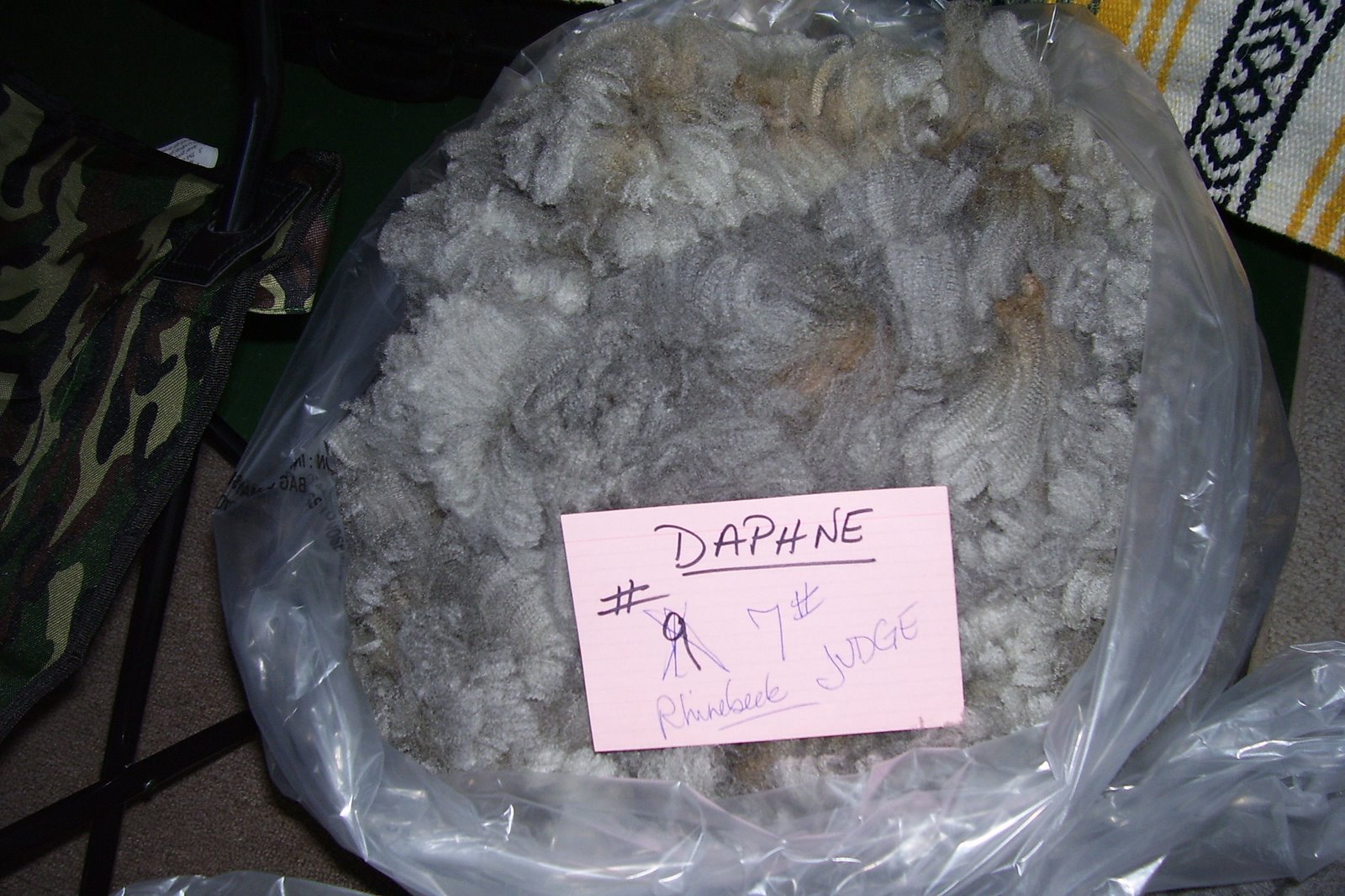 [Daphne+05+07.jpg]