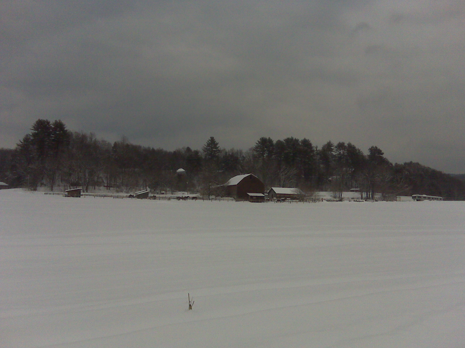 [Chickering's+horse+farm.jpg]
