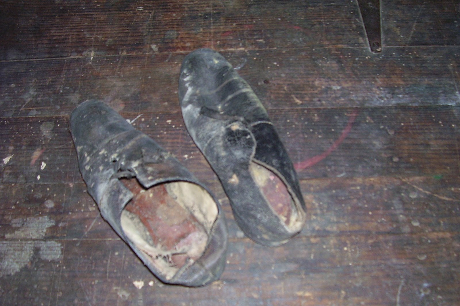 [Summer+2009.jpg]