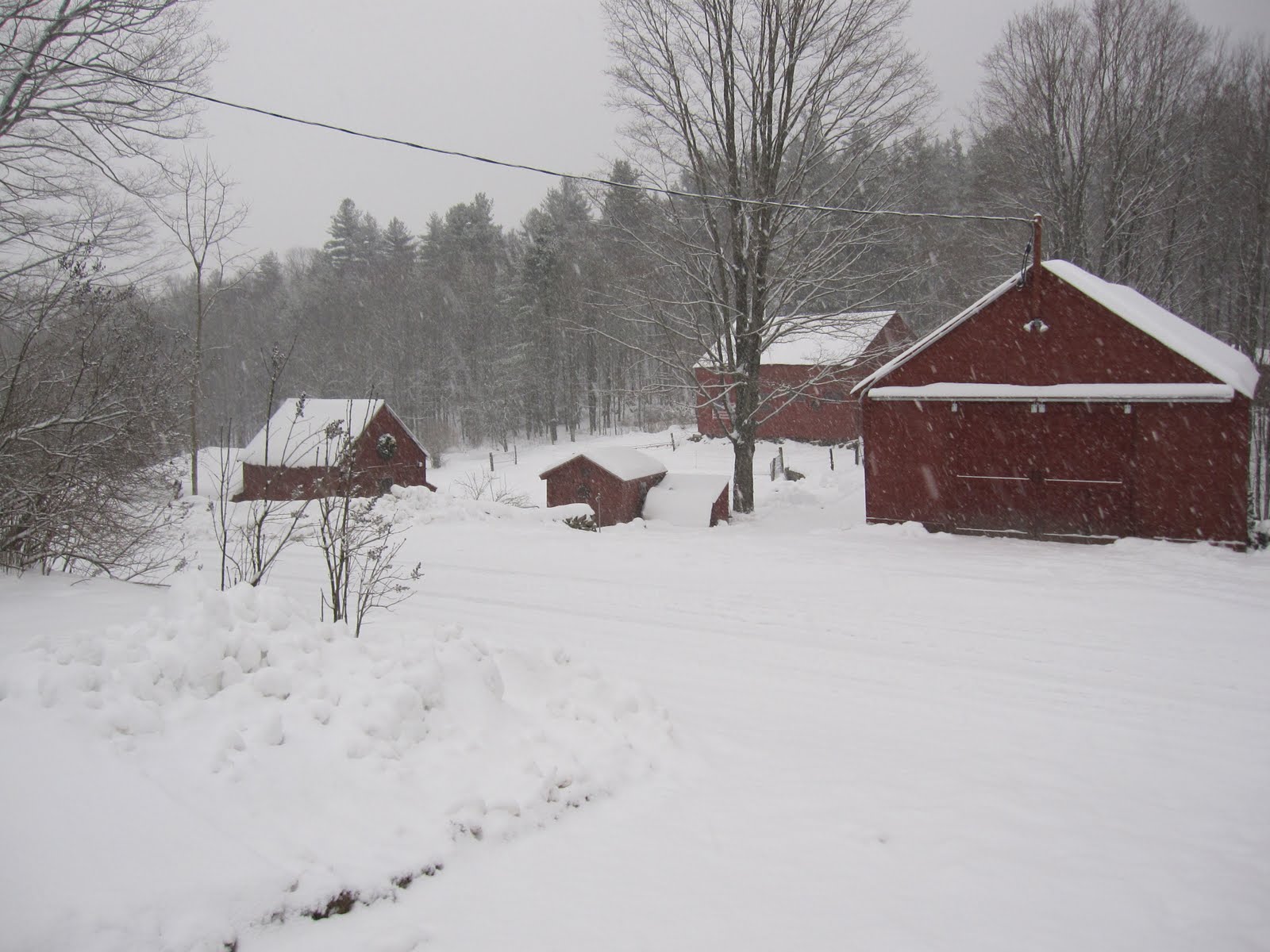 [lovely+snow.jpg]