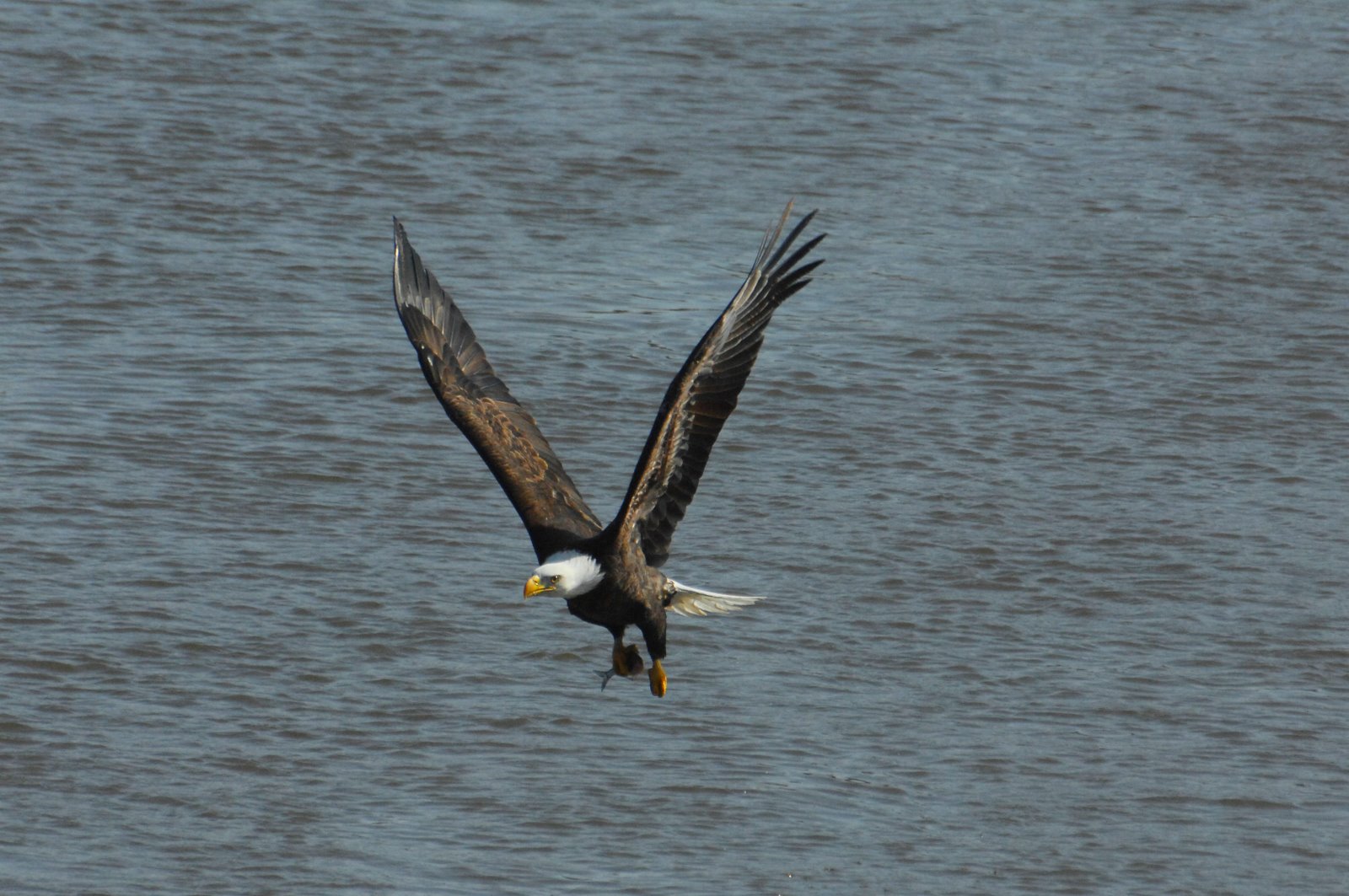 [DSC_4670PS.jpg]