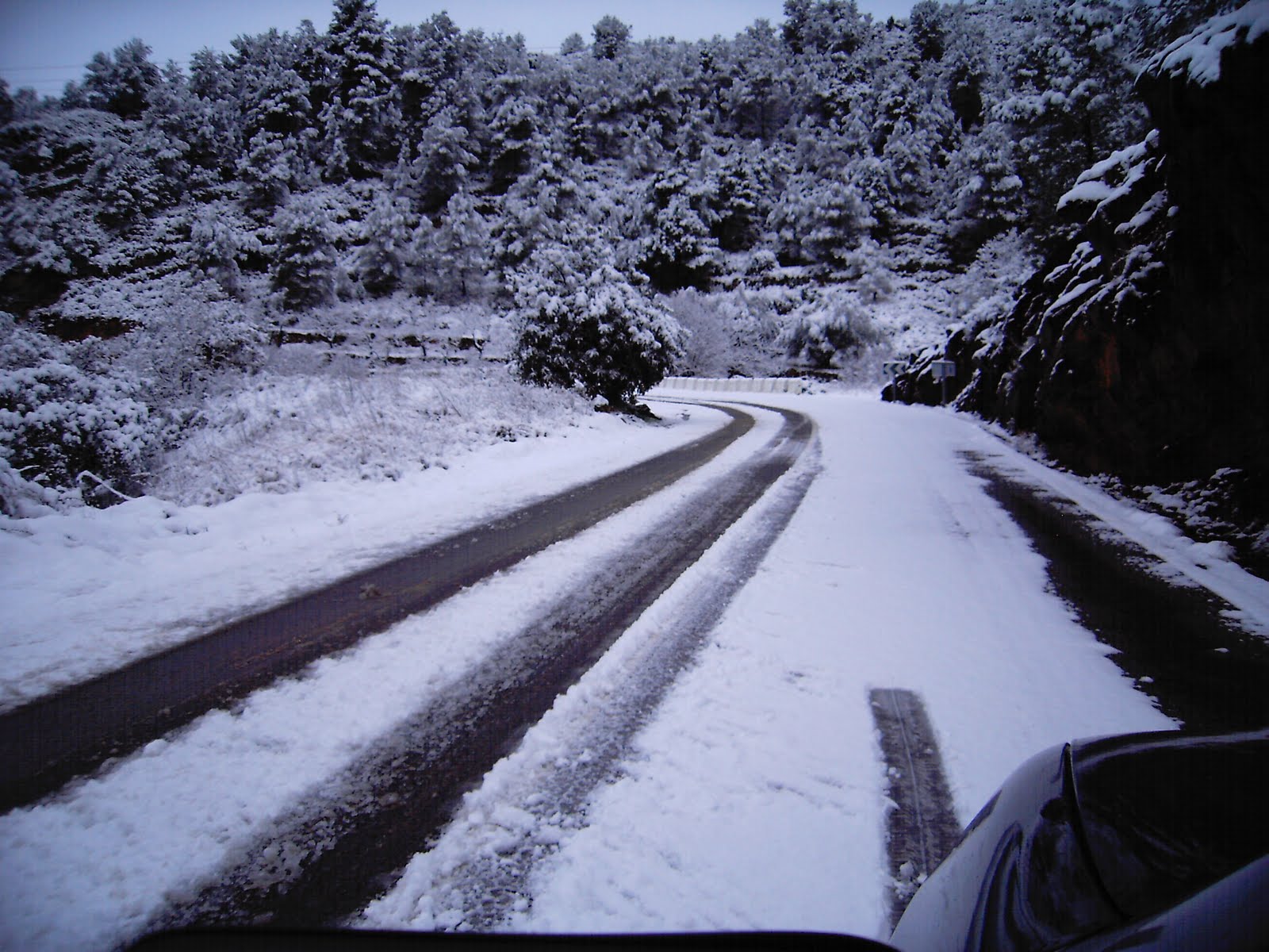 [DSC_0325.JPG]