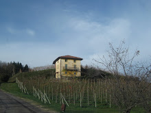 Le Piane Apartment (boca label)