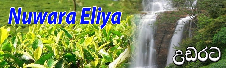 Nuwara Eliya