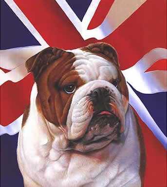 BRITISH BULLDOG tattoo. When did patriotism become