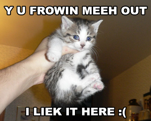 [lolcat36.jpg]