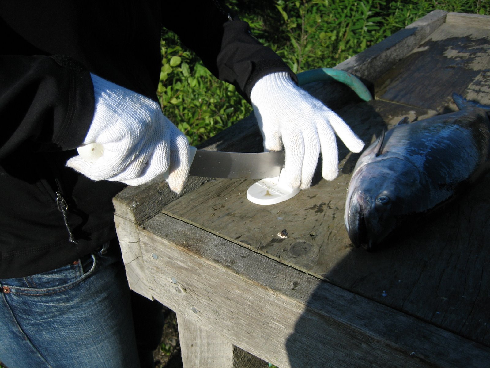 [IMG_4805.JPG]