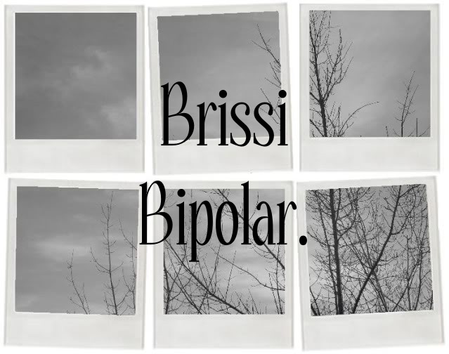 Brissi Bipolar.