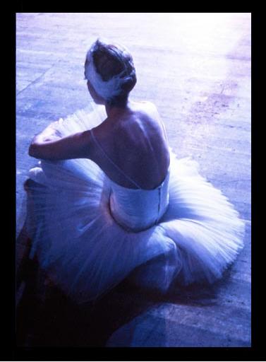Perfection; My Passion