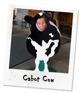 cabot cow