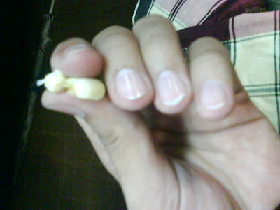 Buah Teratai