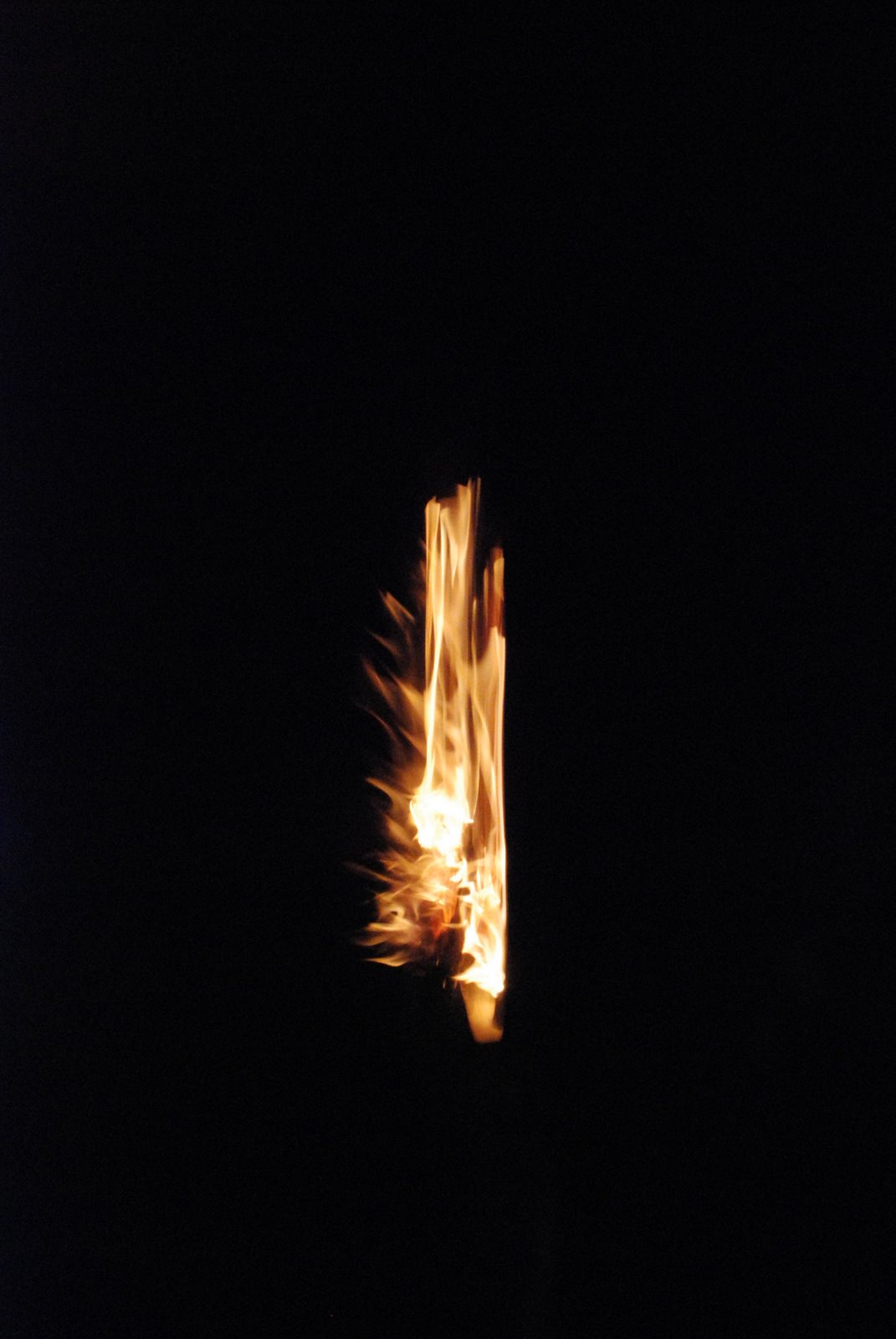 [DSC_2001.JPG]