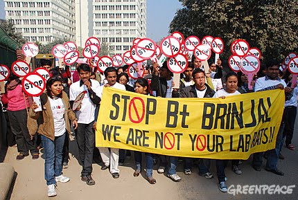 [STOP+BT+BRINJAL.htm]