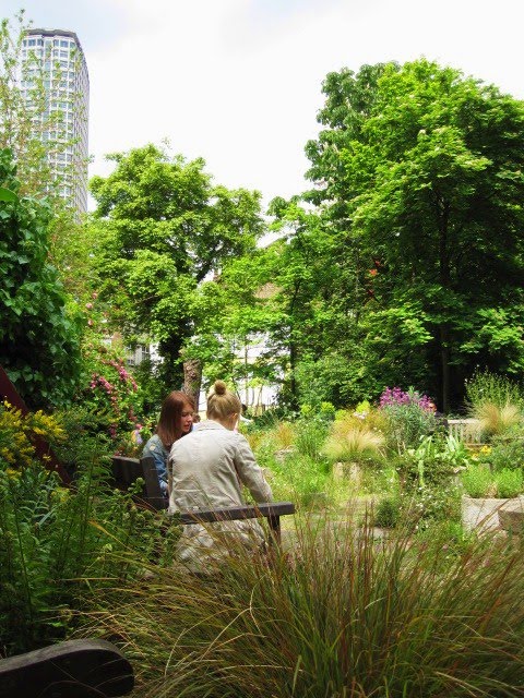 Fi's growing, gardening and design: Phoenix Garden - reviving