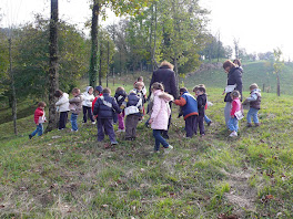 il bosco racconta - autunno 2010