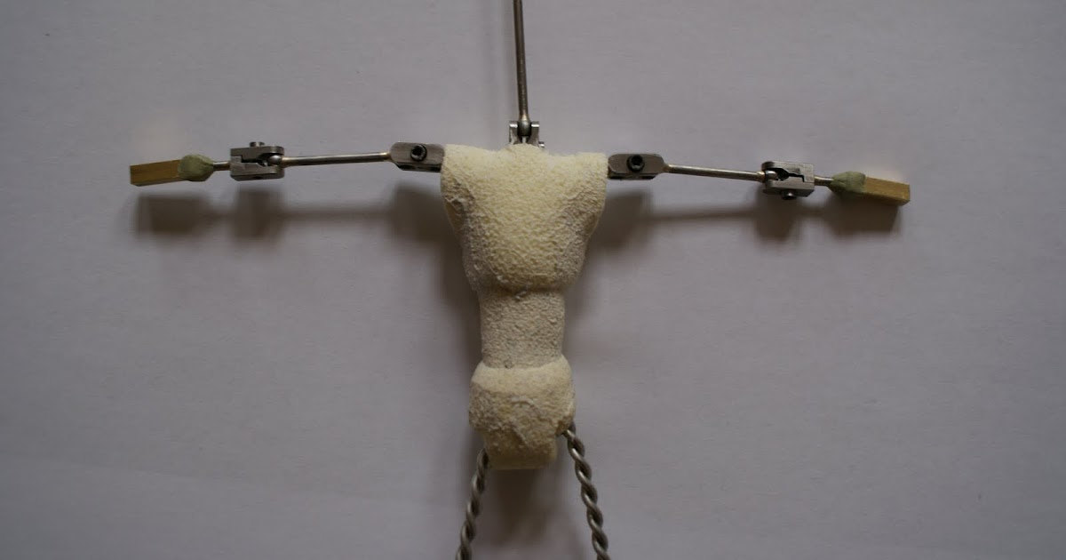 Jigger Flea Animation