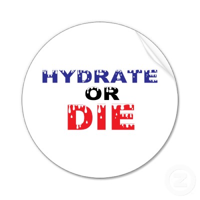 hydrate_or_die_sticker-p217665620893687289qjcl_400.jpg