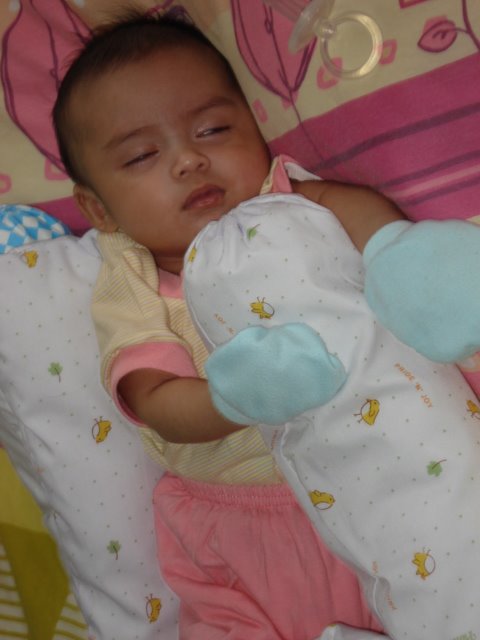 [DSC05066.JPG]