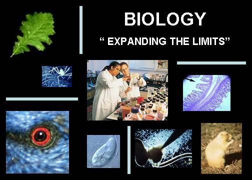 Science: biology