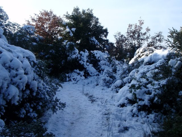 [neige8.jpg]