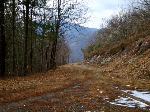 [St+Pierre+Signal_4.jpg]