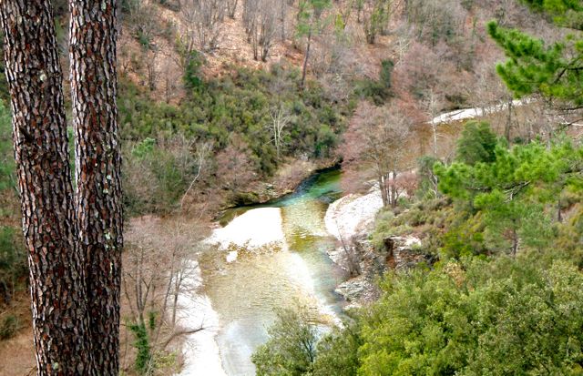 [St+Pierre+Signal_6.jpg]