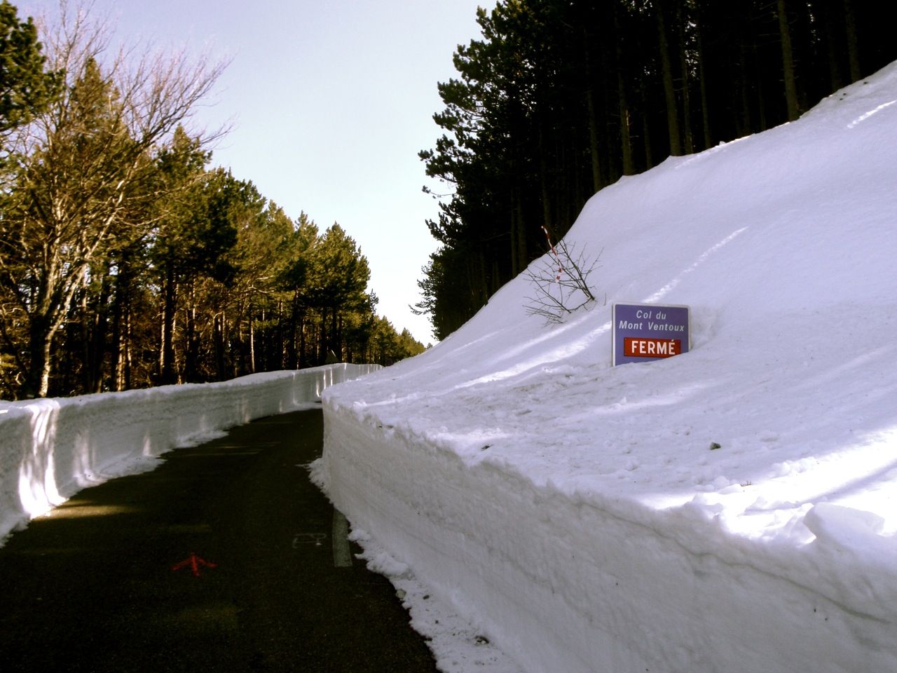 [trailventoux08.jpg]