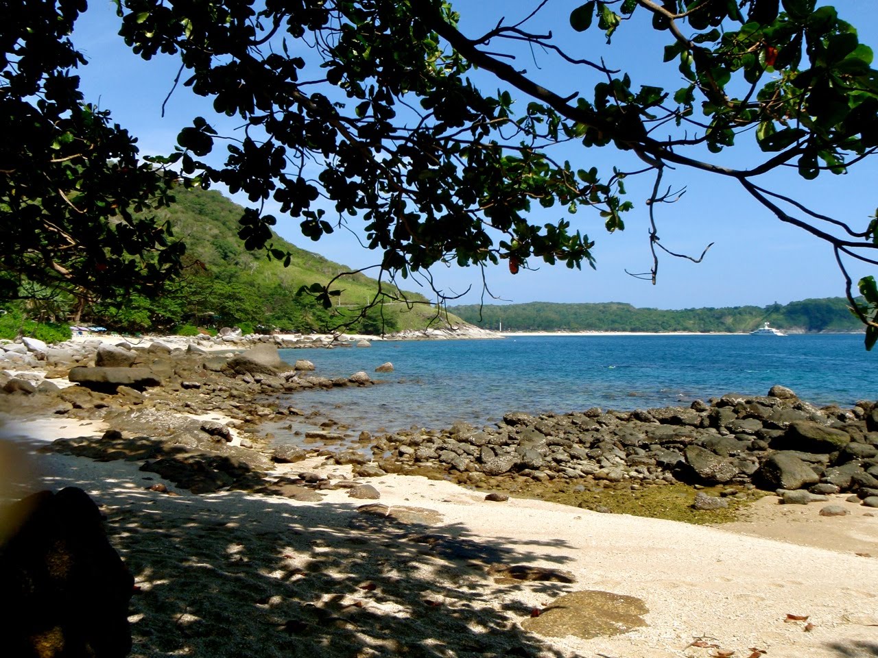 [Phuket_jungle23.jpg]