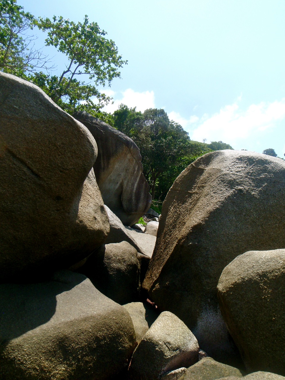 [Phuket_jungle20.jpg]